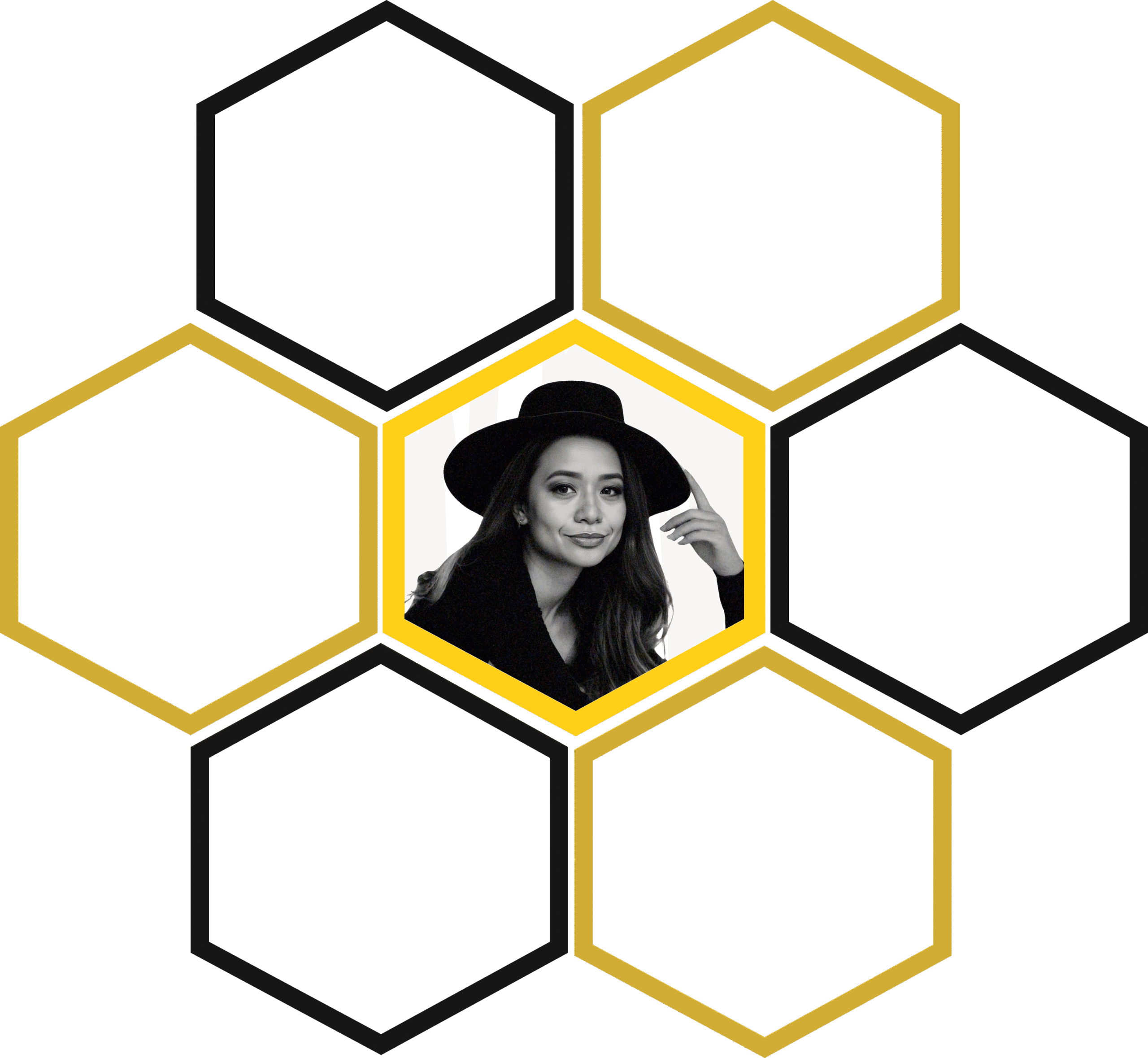 queen-beehive